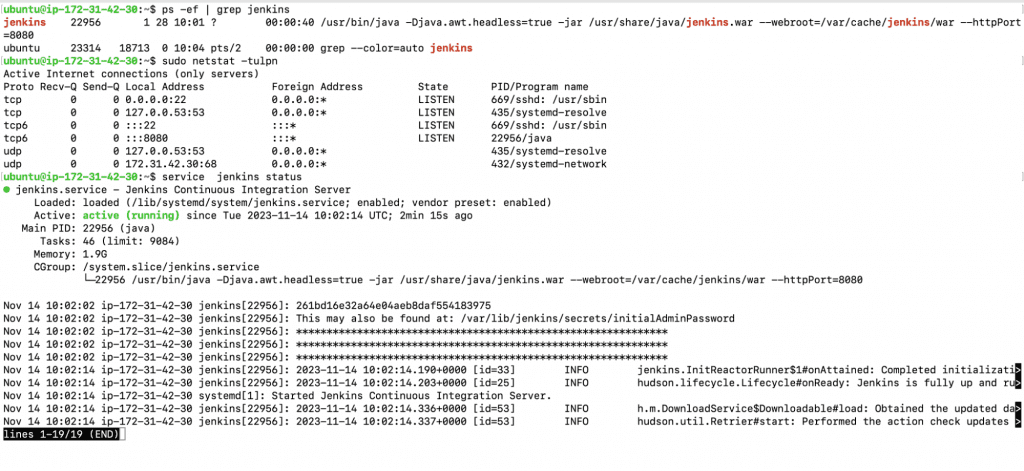 Jenkins' service status