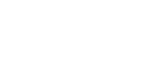 TensorFlow Logo White