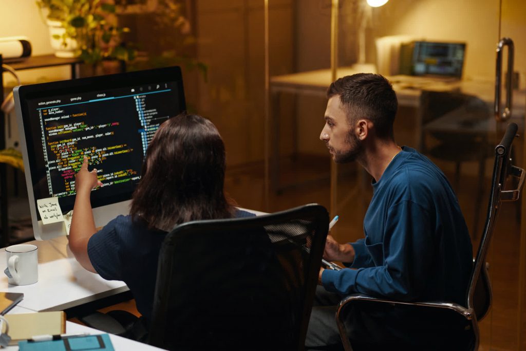 developers searching for bugs